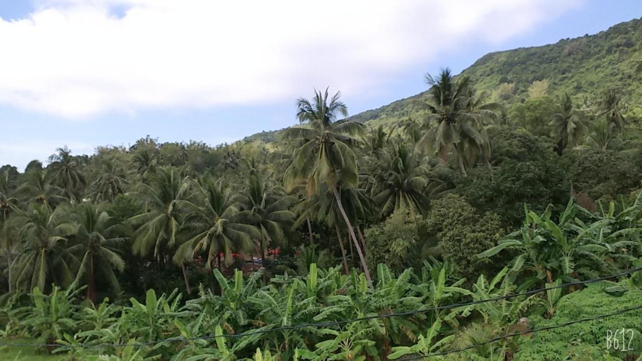 Homestay View Doi Hon Son Lai Son Eksteriør billede